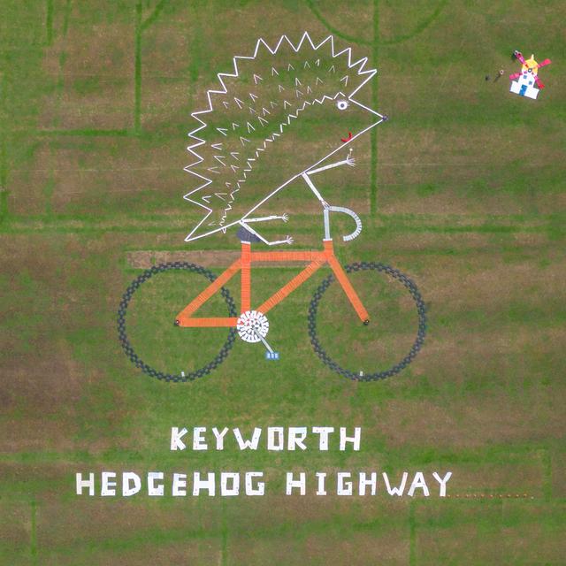 ToB Land Art   Keyworth Hedgehog Highway   2022 winner