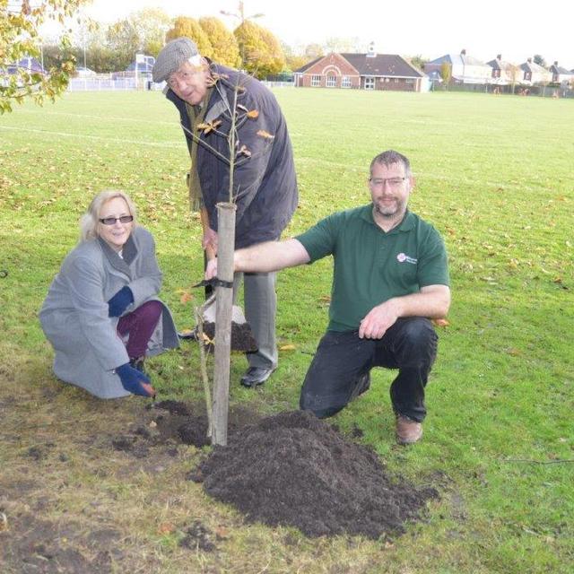 Tree planting 1